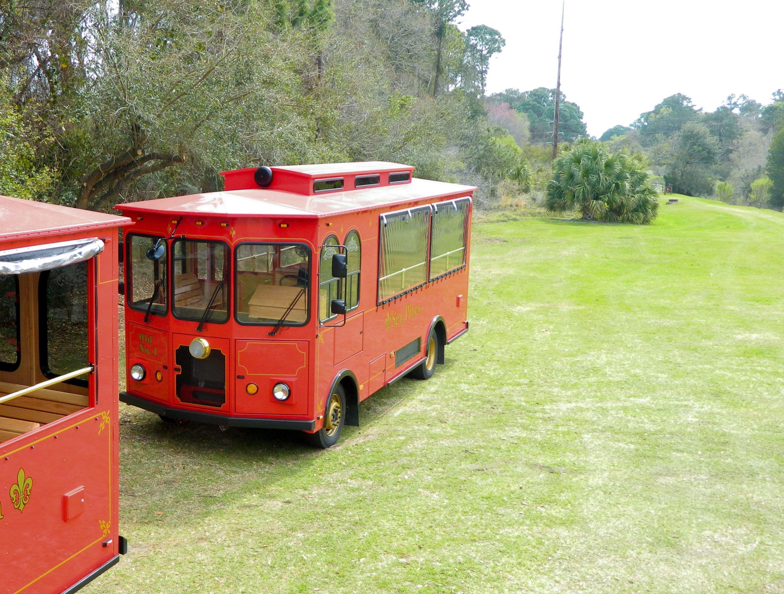 A red trolley bus parked on a grassy area with trees in the background. The bus has large windows and a streamlined design, with a few palm trees visible in the distance.