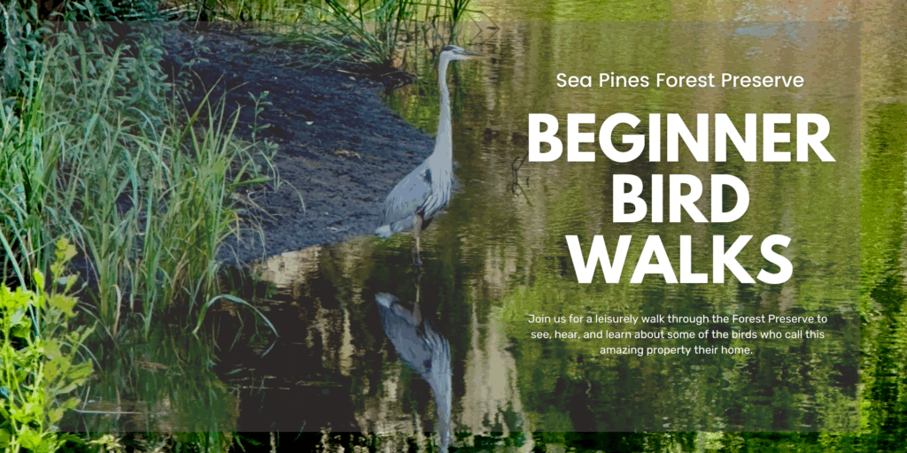 October Explore Your Forest Preserve Program: Beginner Bird Walk (10.18 ...