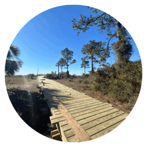 BW-16-Nearing-Completion