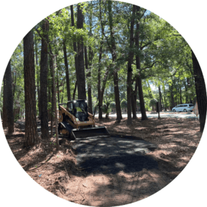 Community Update Cirlces2