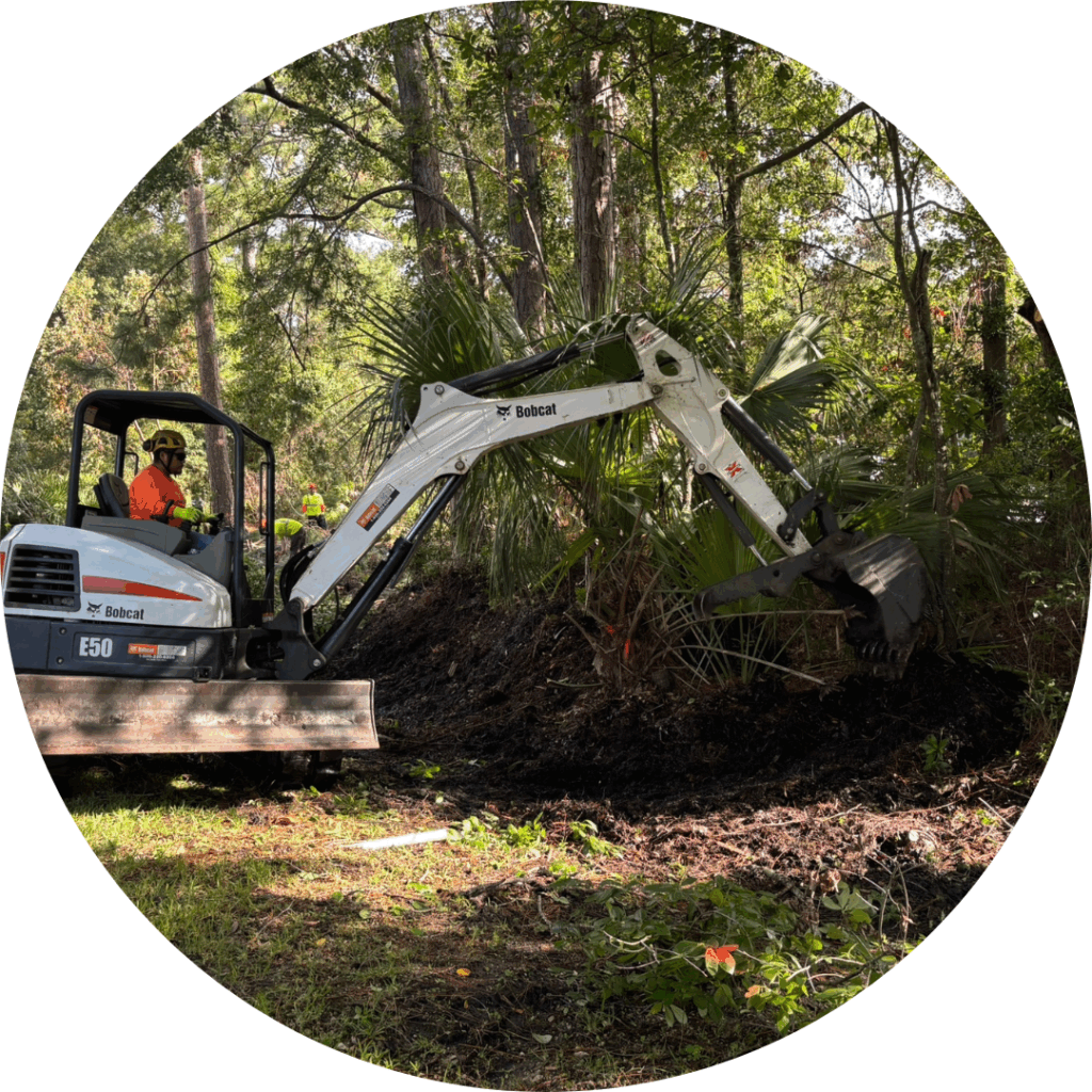 Otter Road Ditch Clearing