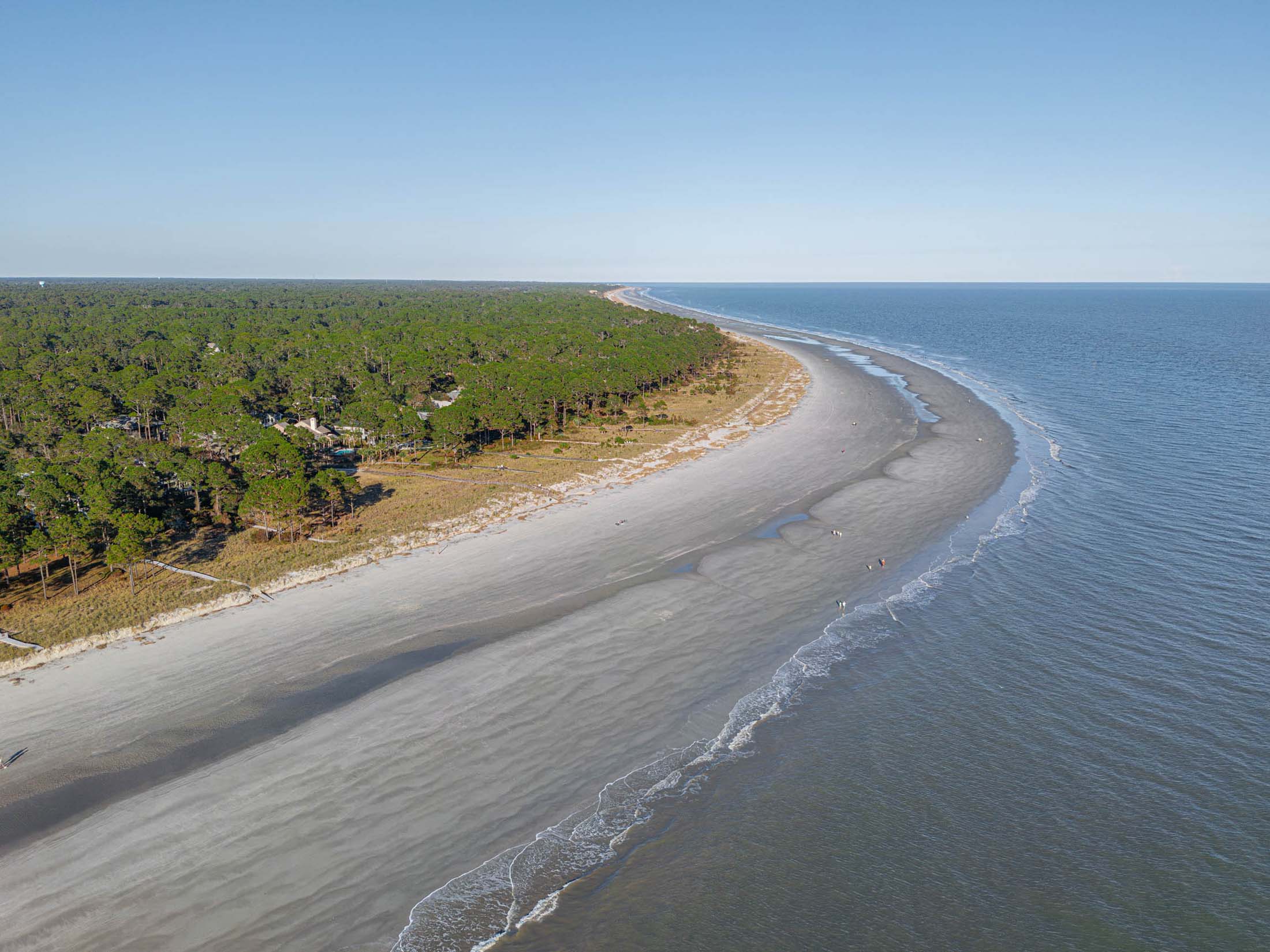 Aerial view of a curved sandy beach along the coastline with a line of green pine trees in the background, under a clear blue sky.