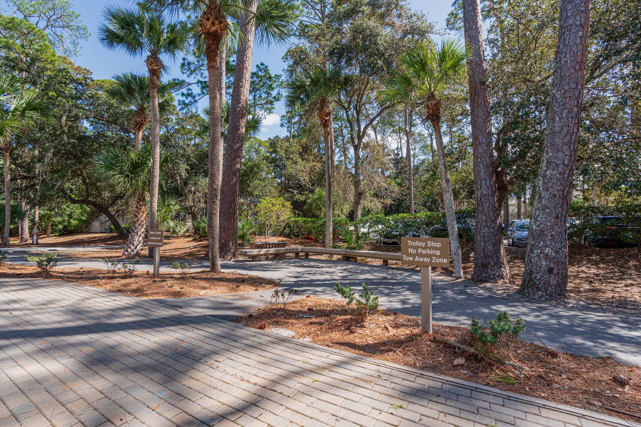 A pathway lined with palm trees and bushes, leading into a wooded area. A sign indicating 'Better Bring the Parking Pass' is visible on the right. Sunlight filters through the trees, creating dappled shadows on the ground.