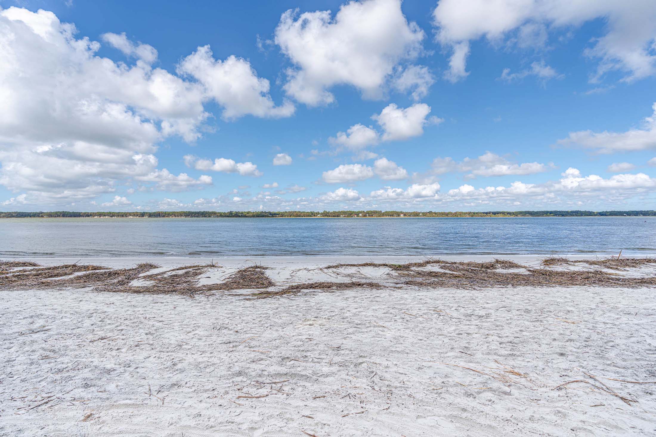 Beach Shuttle Service