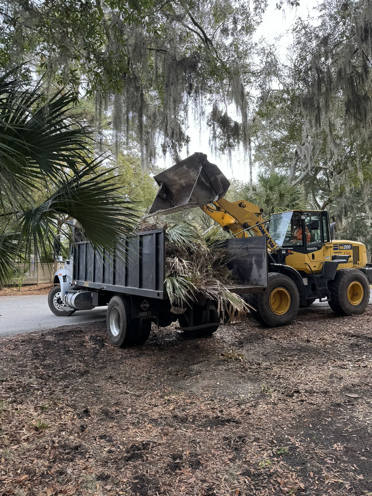 Neighborhood Debris Collection