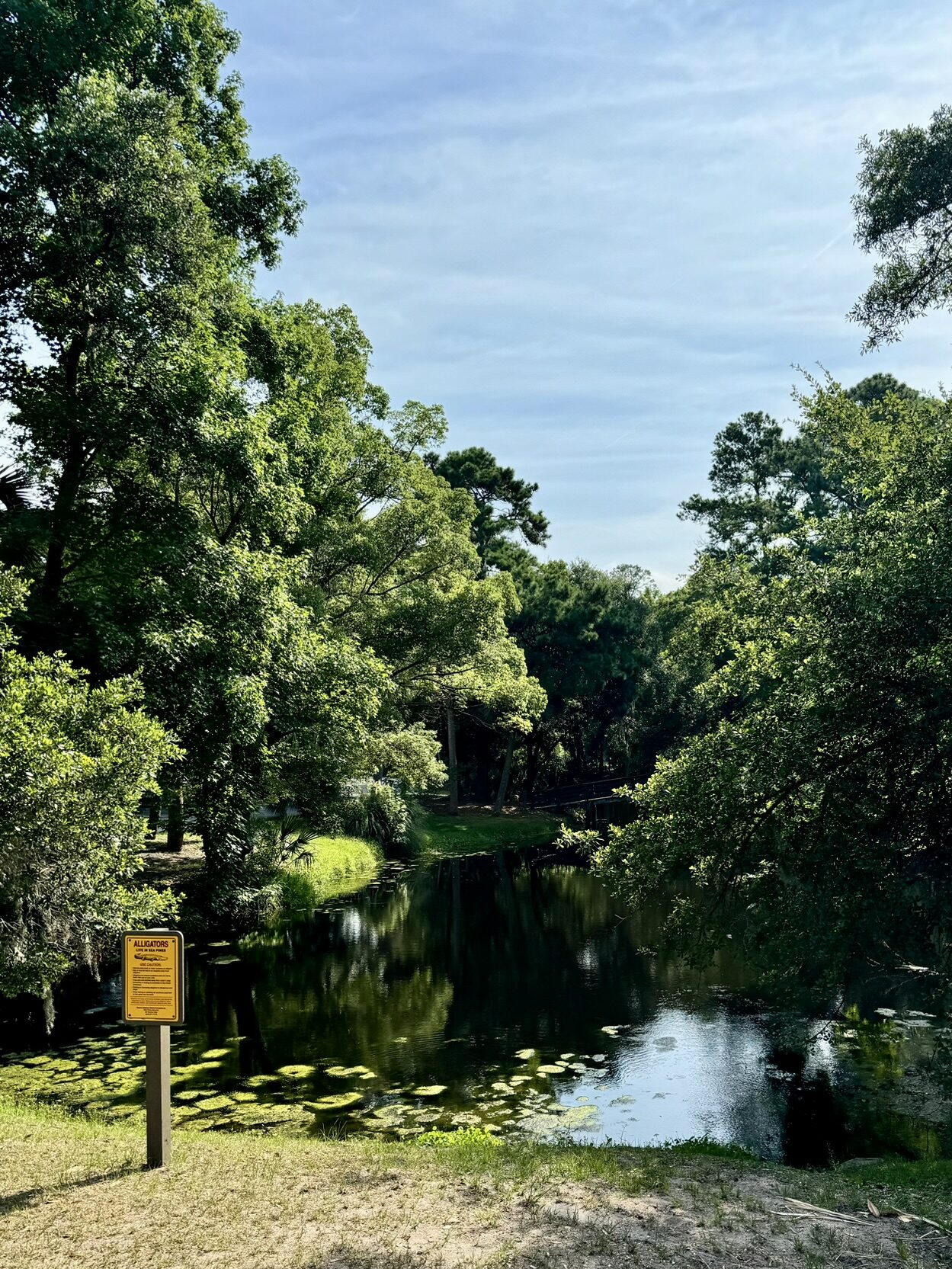 A serene pond surrounded by lush green trees and plants, with lily pads visible on the water's surface. A sign stands on the bank near the edge of the pond, under a clear blue sky.