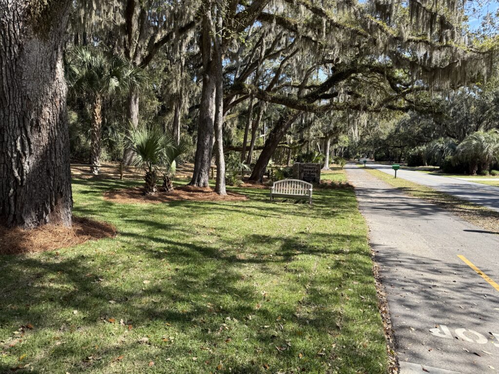 A grassy area next to a paved pathway, lined with trees and Spanish moss. A wooden bench is situated on the lawn, with a road visible on the right side of the image.