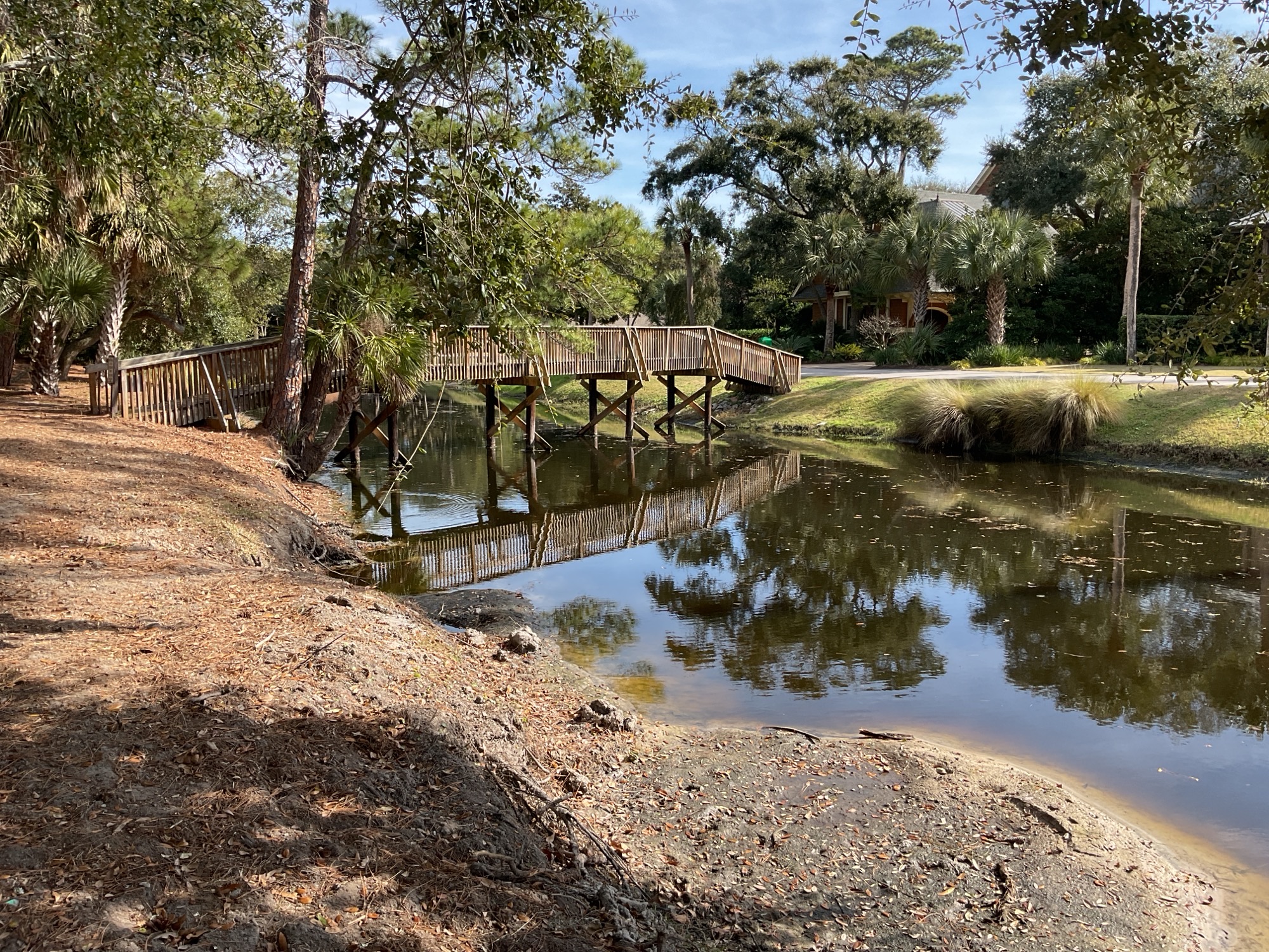 A wooden bridge extends over a calm, reflective pond surrounded by lush greenery. The landscape features sandy banks with scattered pine needles and trees, with a home visible in the background.